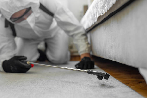Professional Termite Control technician working in Tashua, CT