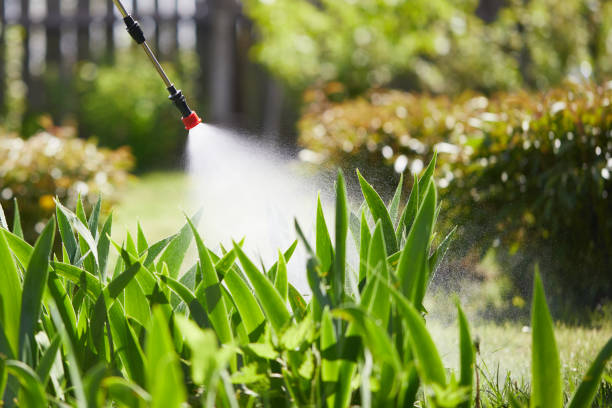 24/7 Emergency Termite Control experts in Tashua, CT